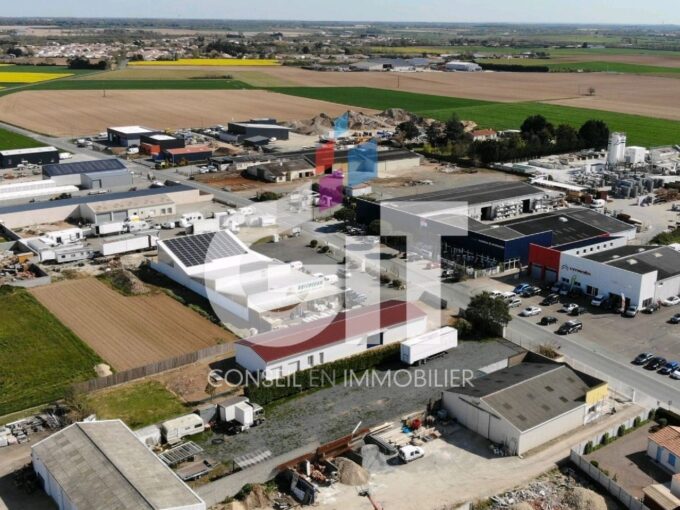 LOCAL D’ACTIVITE – 342m² – Réf. 2090