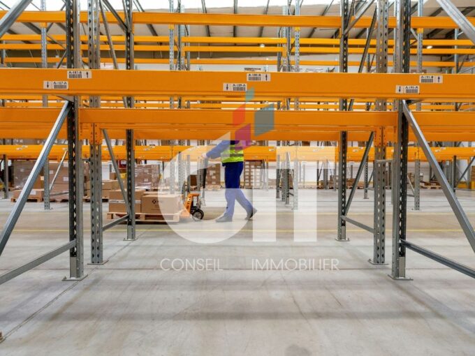 LOCAL D’ACTIVITE – 905m² – Réf. 2136